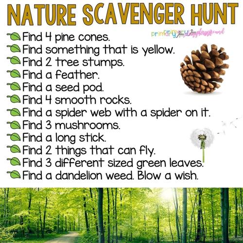 Nature Scavenger Hunt 